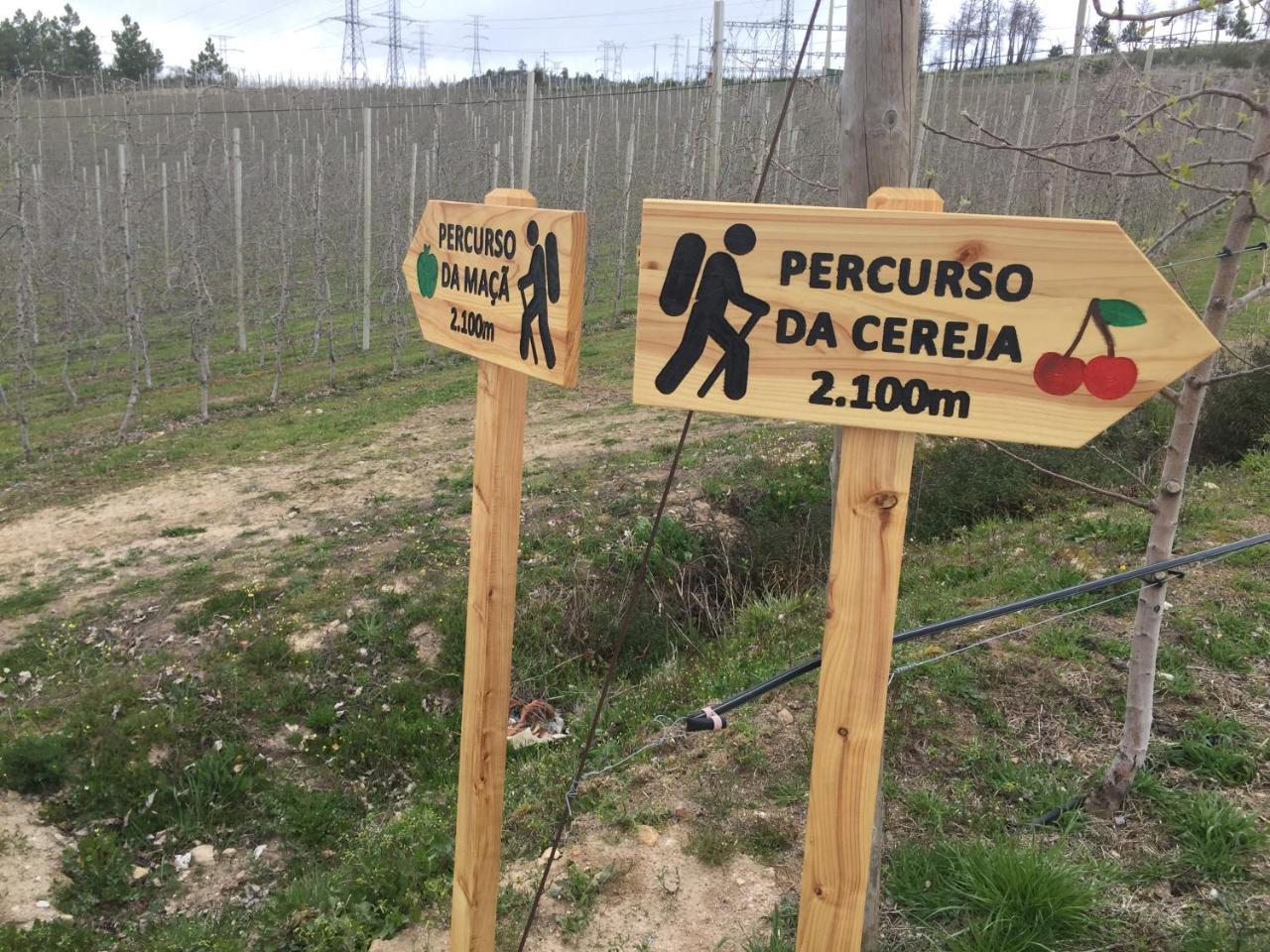 Quinta Bemboa Turismo Espaco Rural Aricera Esterno foto