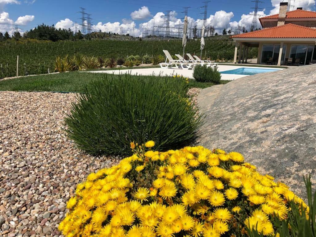 Quinta Bemboa Turismo Espaco Rural Aricera Esterno foto